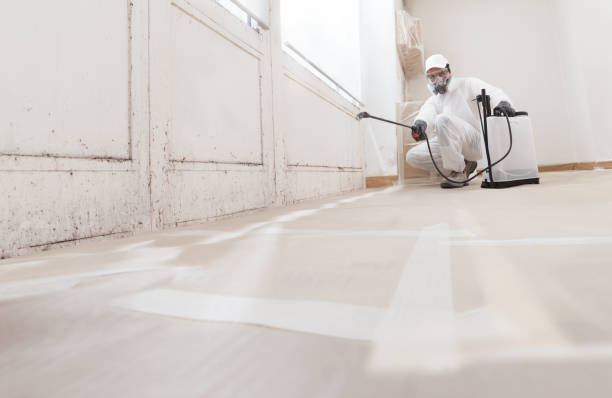 24/7 Emergency Attic Mold Removal experts in Knoxville, MD