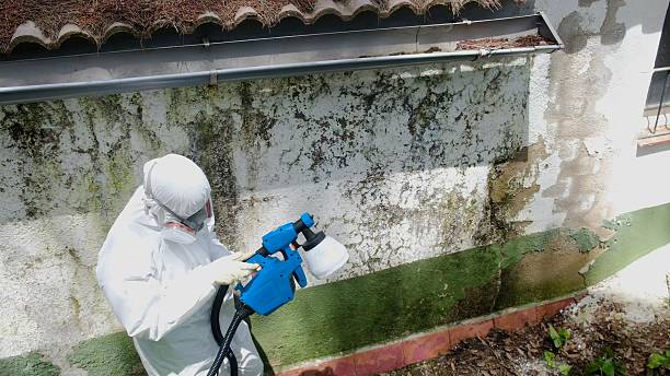 Top rated local Attic Mold Removal specialists in Knoxville, MD